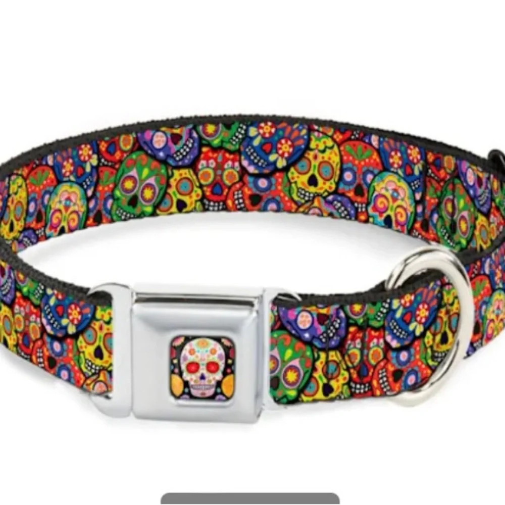 Buckle down dog collar skull adjustable good condition